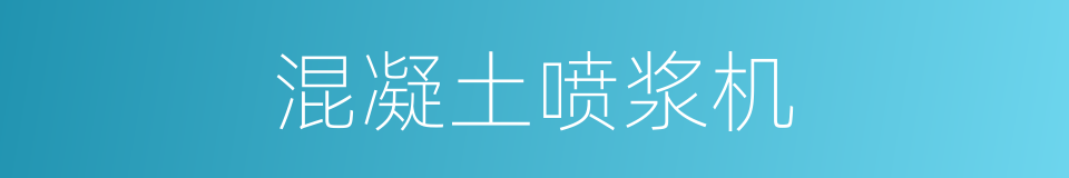 混凝土喷浆机的同义词