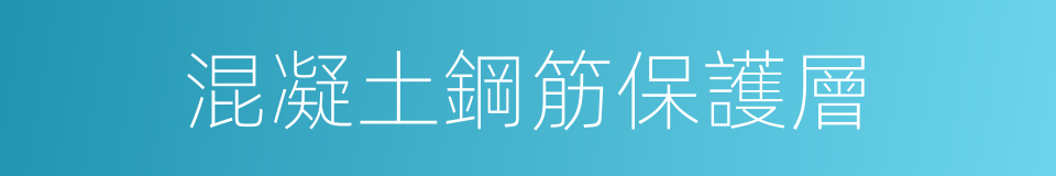 混凝土鋼筋保護層的同義詞