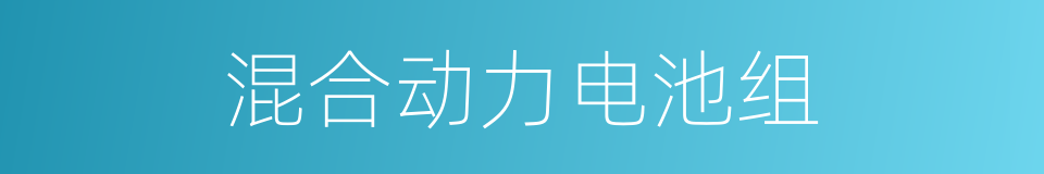 混合动力电池组的同义词