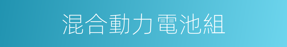 混合動力電池組的同義詞