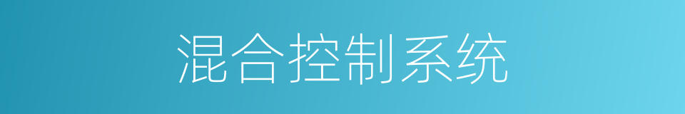 混合控制系统的同义词