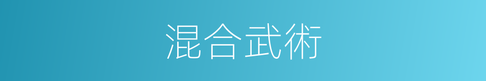 混合武術的同義詞