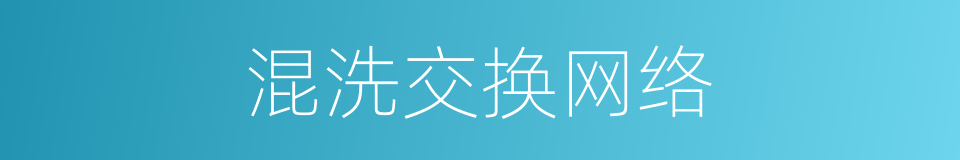 混洗交换网络的同义词