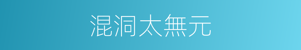 混洞太無元的同義詞