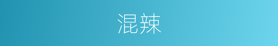 混辣的同义词
