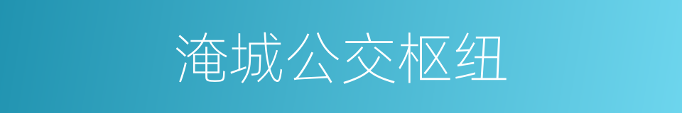 淹城公交枢纽的同义词
