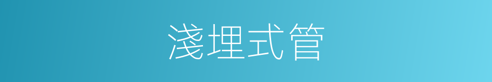 淺埋式管的同義詞