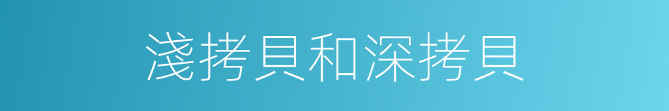 淺拷貝和深拷貝的同義詞