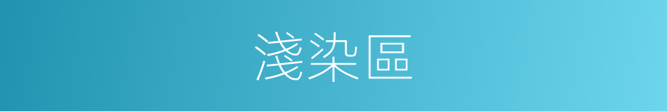 淺染區的同義詞