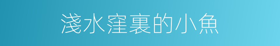 淺水窪裏的小魚的同義詞
