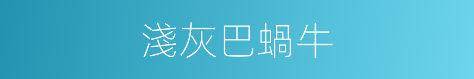 淺灰巴蝸牛的同義詞