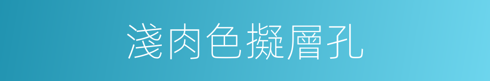 淺肉色擬層孔的同義詞