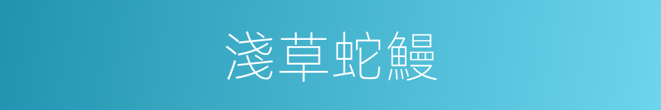 淺草蛇鰻的同義詞