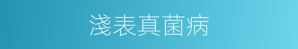 淺表真菌病的同義詞