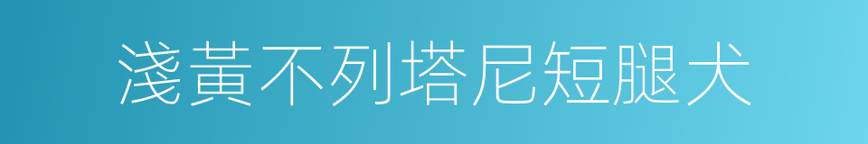 淺黃不列塔尼短腿犬的同義詞