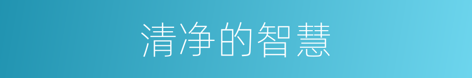 清净的智慧的同义词