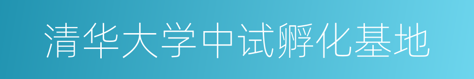 清华大学中试孵化基地的同义词