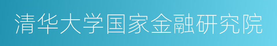 清华大学国家金融研究院的同义词