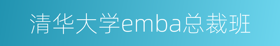 清华大学emba总裁班的同义词