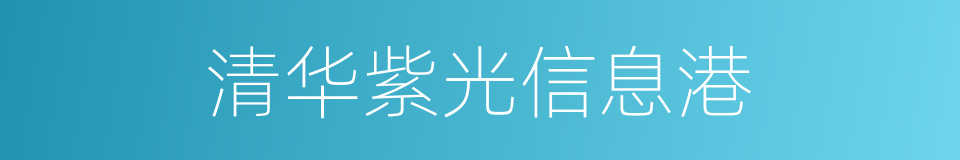 清华紫光信息港的同义词