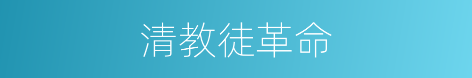 清教徒革命的同义词