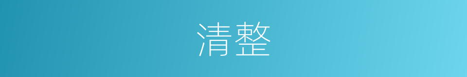 清整的意思