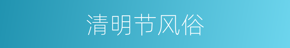 清明节风俗的同义词