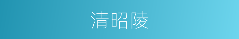 清昭陵的同义词