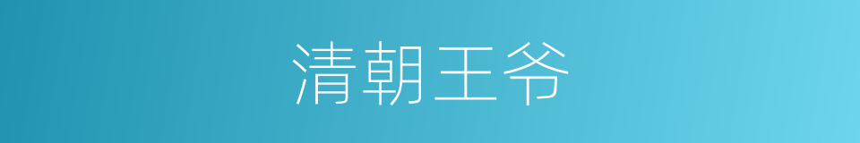 清朝王爷的同义词