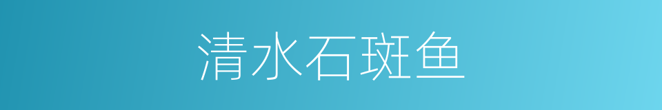 清水石斑鱼的同义词