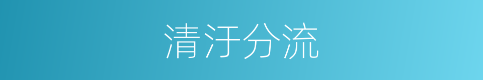 清汙分流的同義詞