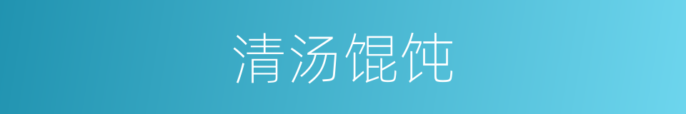 清汤馄饨的同义词