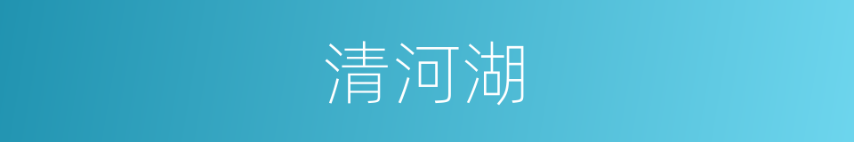 清河湖的同义词