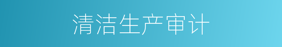 清洁生产审计的同义词