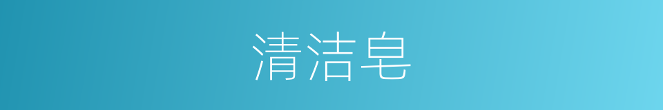 清洁皂的同义词
