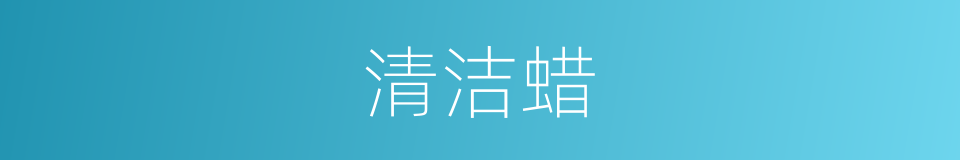 清洁蜡的同义词