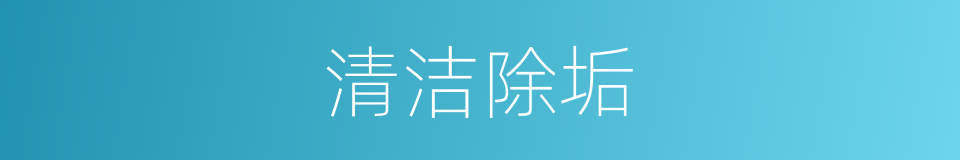 清洁除垢的同义词