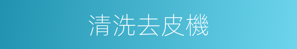 清洗去皮機的同義詞