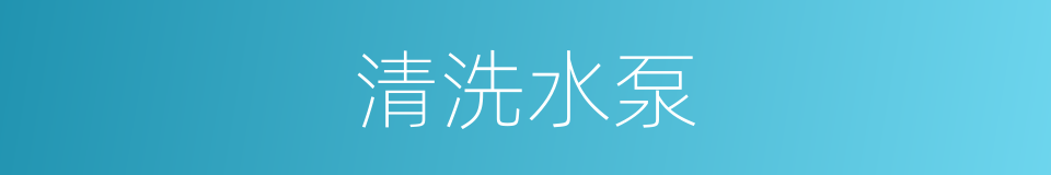 清洗水泵的同义词