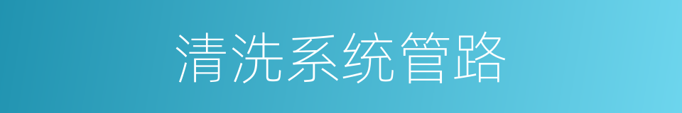 清洗系统管路的同义词
