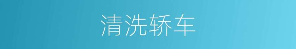 清洗轿车的同义词