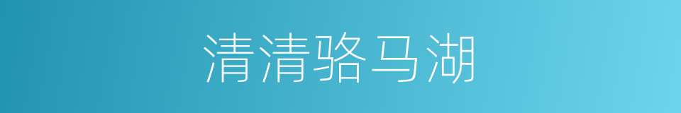 清清骆马湖的同义词