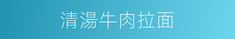 清湯牛肉拉面的同義詞