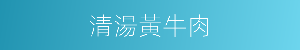 清湯黃牛肉的同義詞