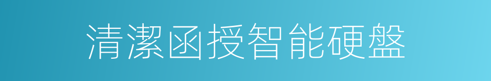 清潔函授智能硬盤的同義詞