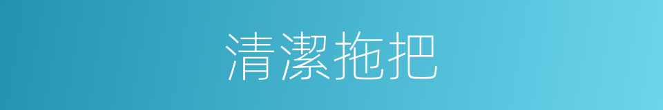 清潔拖把的同義詞