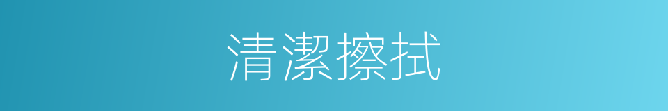 清潔擦拭的同義詞