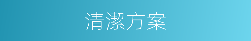 清潔方案的同義詞