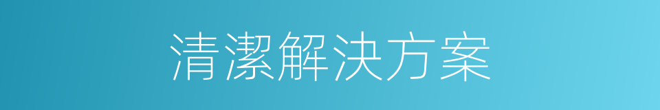 清潔解決方案的同義詞
