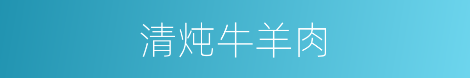 清炖牛羊肉的同义词